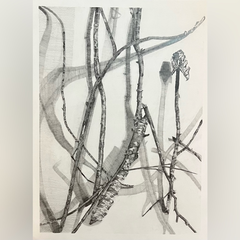 Graphite drawing